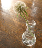 �v���N�`�J�ʐM