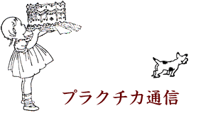 �v���N�`�J�ʐM