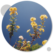 ���n����v���t�B�[��